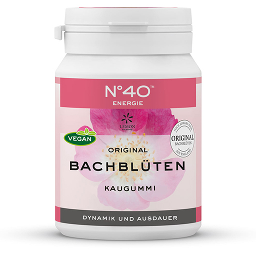 ENERGIE KAUGUMMI nach Dr.Bach  40 St  Kaugummi