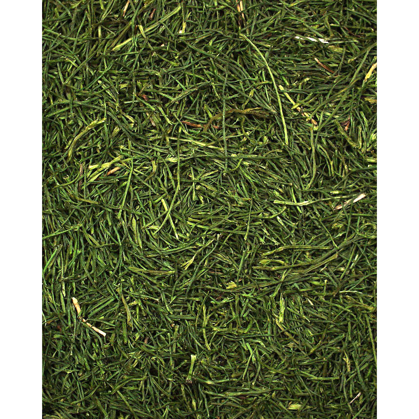 JR Farm Snacks JR Farm Petersilienstiele 500 g
