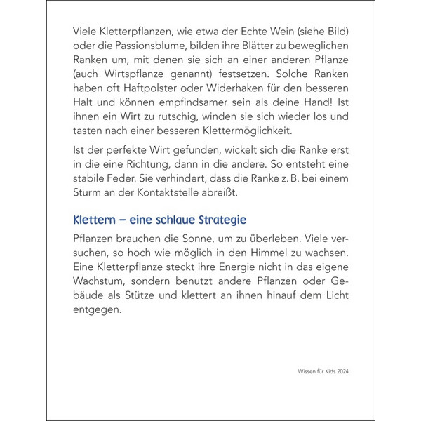 WISSEN FÜR KIDS TAGESABREIßKALENDER 2024 - Kalender