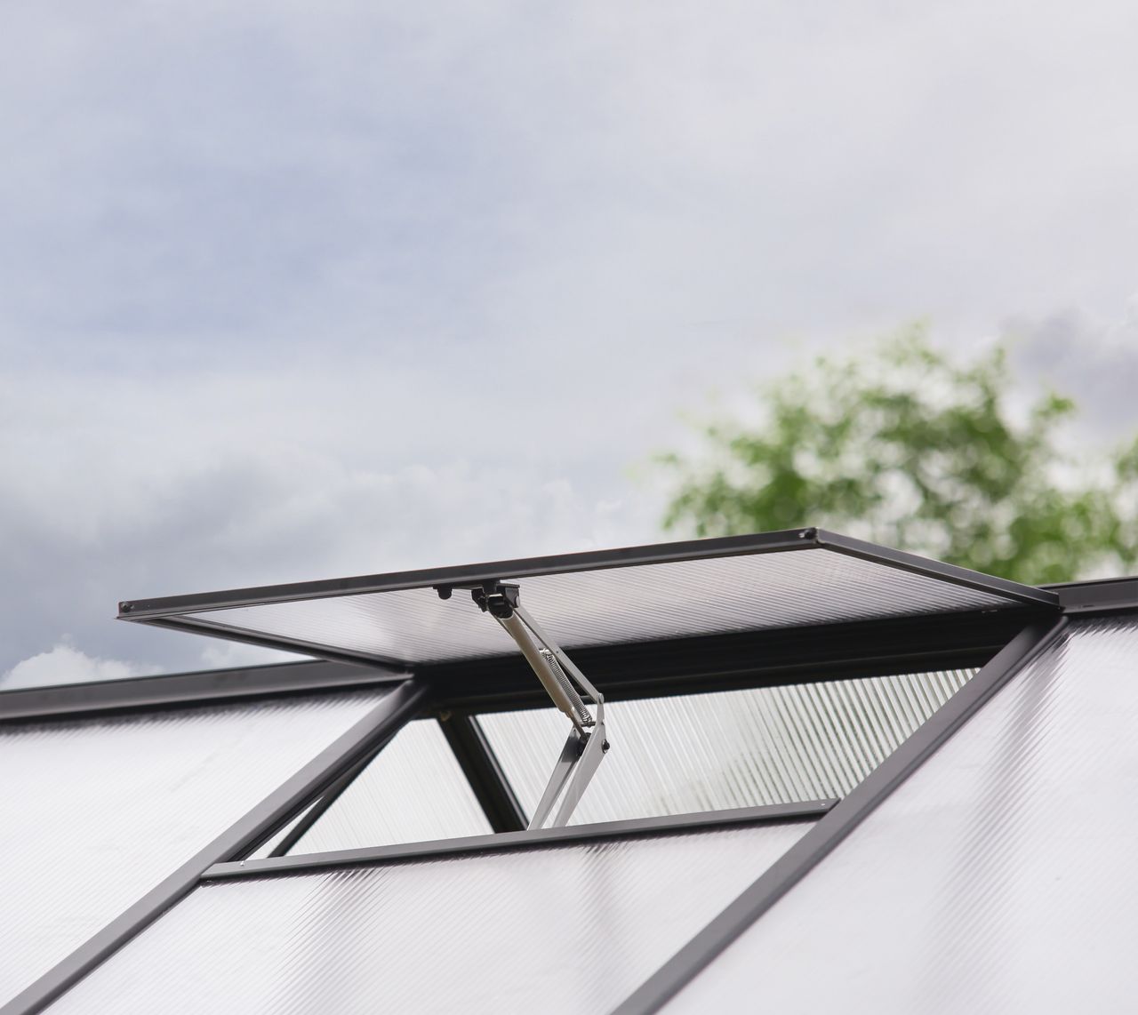 Canopia by Palram Triomphe Gardenchalet, schwarz, 16 m²