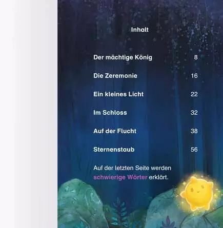 Disney Wish: Das Erstlesebuch zum Film