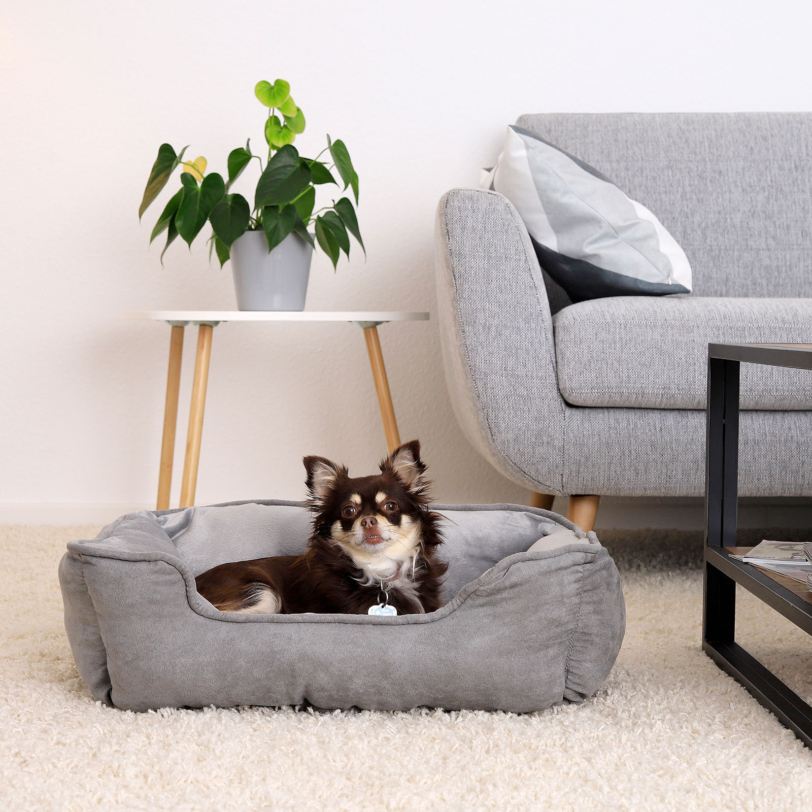 Lionto Hundebetten Lionto 2-in-1 Hundebett Hundekissen S