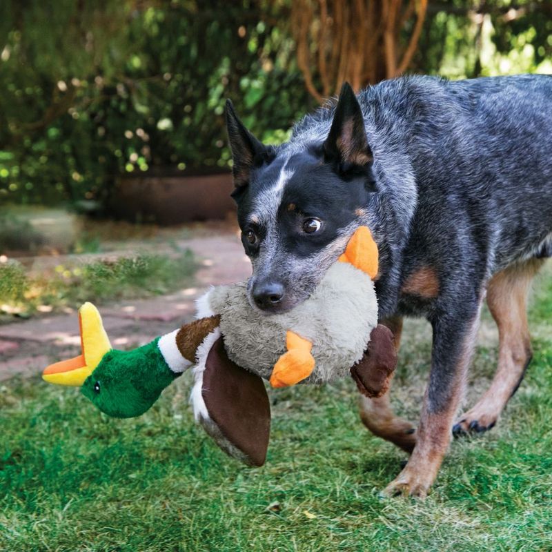 KONG Shakers Honkers Duck zu TOP-Preisen