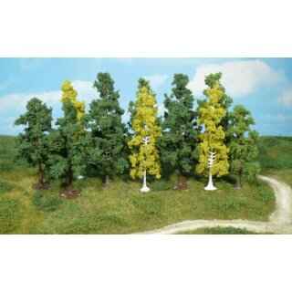 Laubbäume 7-12 cm (12 Stk.)
