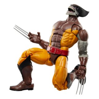 Wolverine 50th Anniversary Marvel Legends Actionfiguren 2er-Pack - Wolverine & Lilandra Neramani