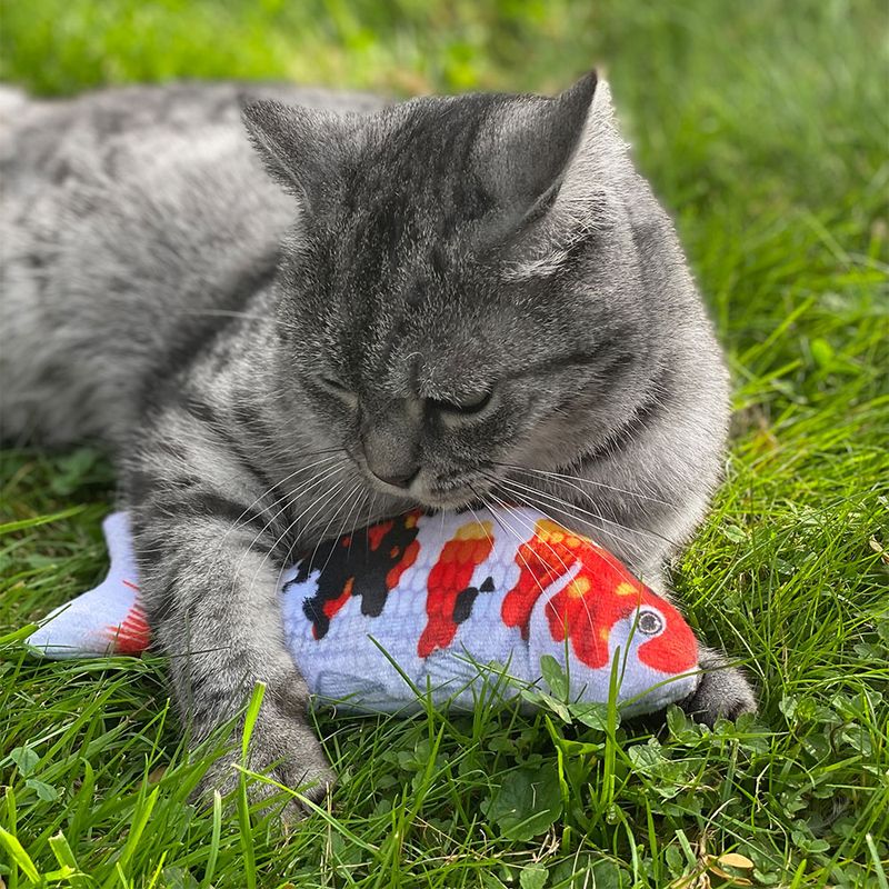 Aumüller Katzenspielkissen Koi zu TOP-Preisen