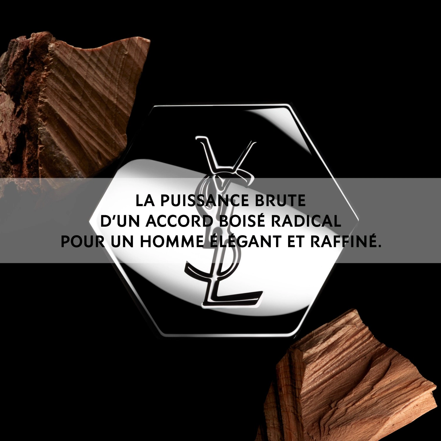 Yves Saint Laurent Le Parfum