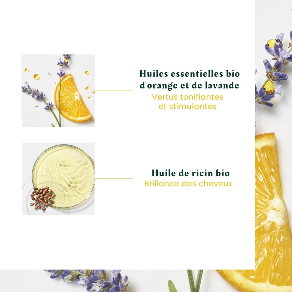 Furterer Head Spa Complexe 5, régénérateur cuir c hevelu, flacon 50ml Concentré