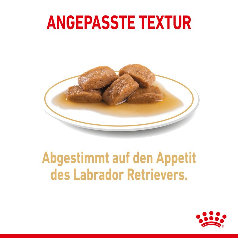 Royal Canin Labrador Retriever Adult in Soße
