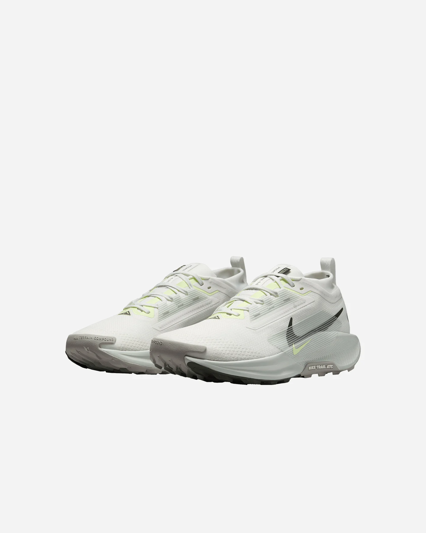 Scarpe Trail Nike Pegasus Trail 5 Gore Tex M FQ0908-102