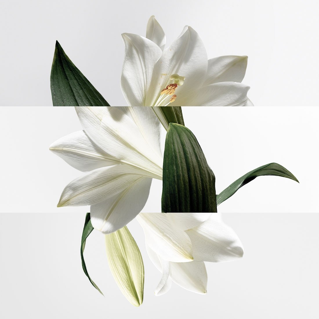 HERMÈS Un Jardin Sur la Lagune EAU DE TOILETTE SPRAY
