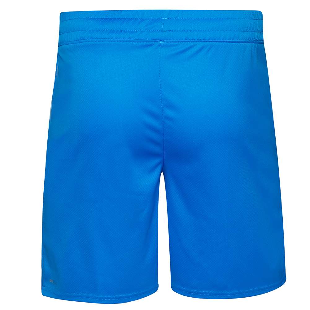 Italien FIGC PUMA Herren Shorts 765668-01