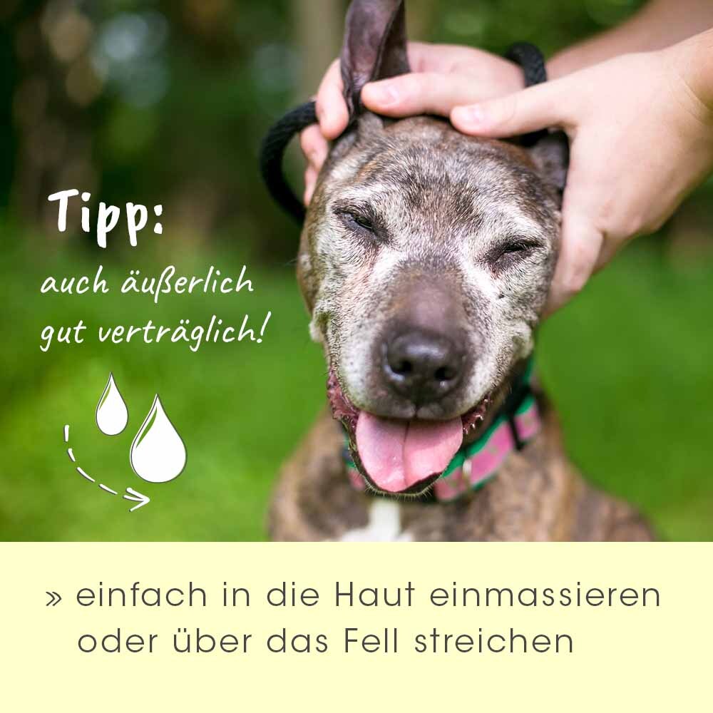 insektoVet Ergänzungsfutter & Aufzucht insektoVet Bio Kokos Schwarzkümmel Öl