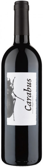 2020 Carabus Rot trocken - Weingut Bayer-Erbhof