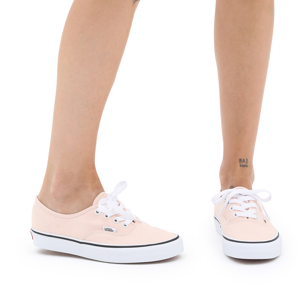 Vans Color Theory Authentic VN0A5JMPBM01 / pink