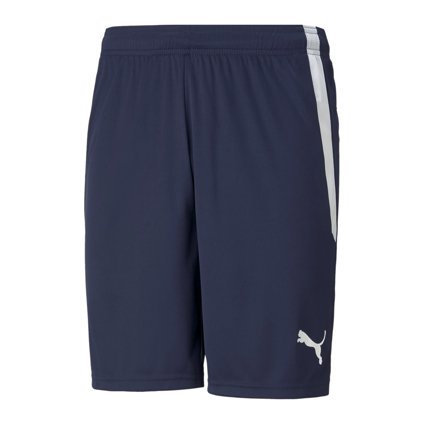 PUMA teamLIGA Short Blau Weiss F06