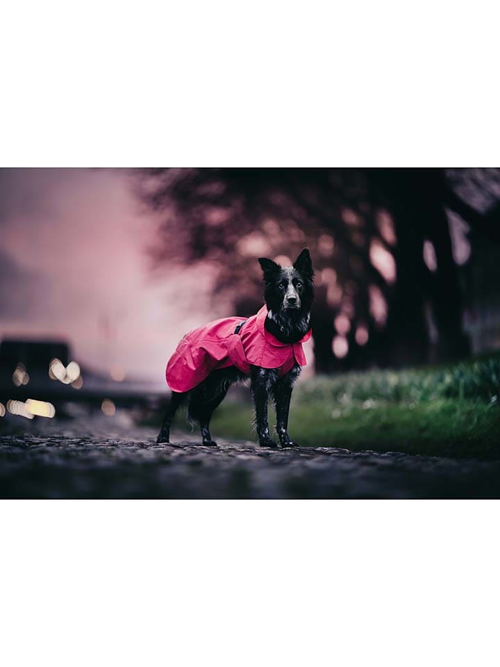 Paikka Visibility-Hunderegenmantel in Pink günstig kaufen