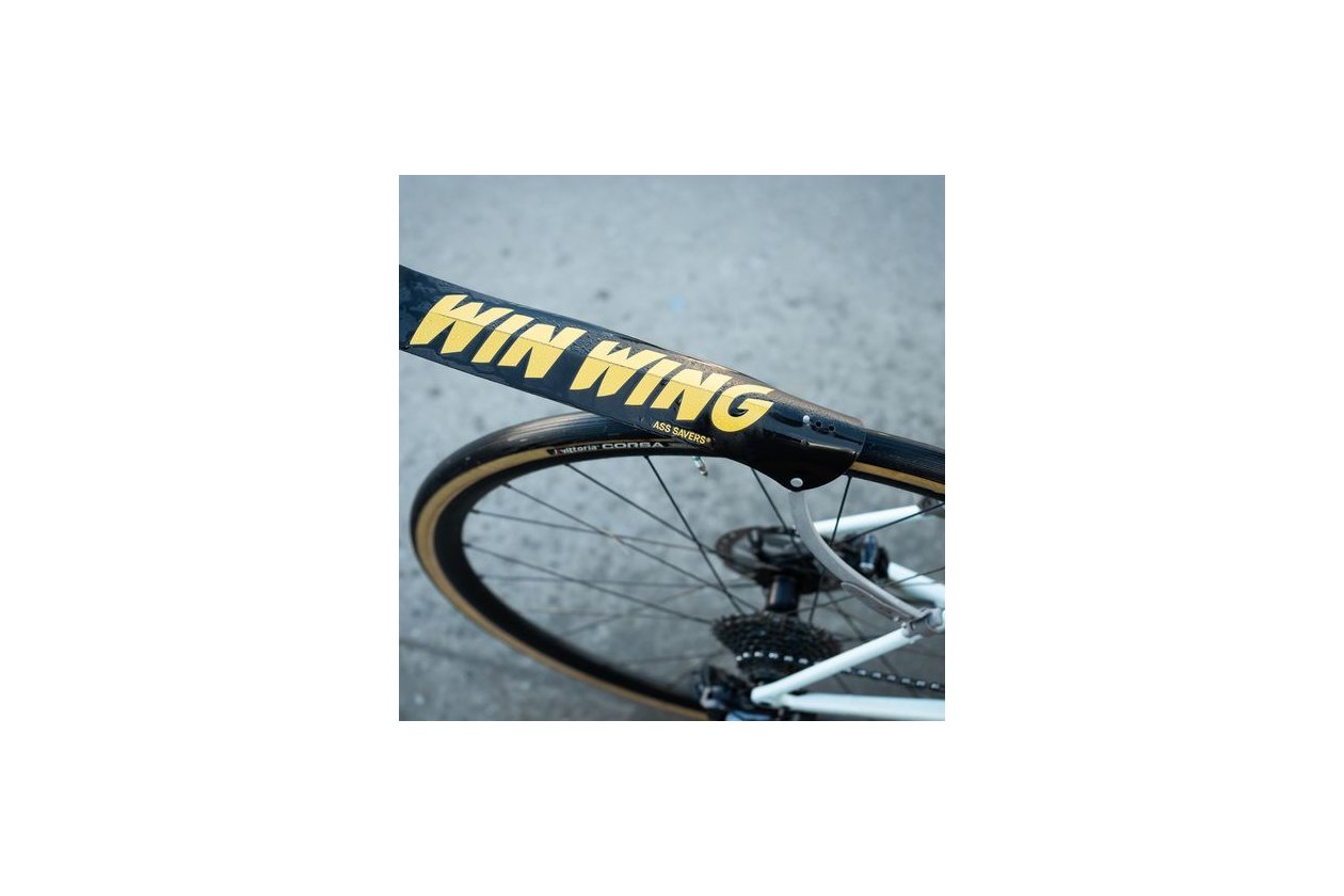 Ass Savers WGS-1 Win Wing Road Spritzschutz HR logo