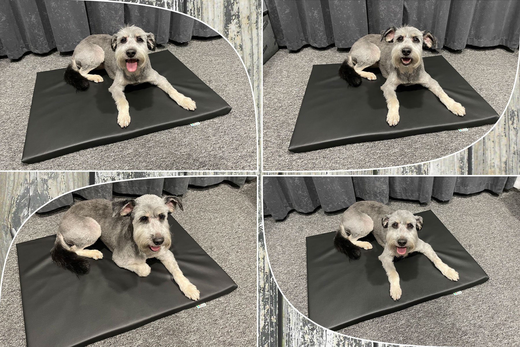 FORTISLINE Hundematte Hundematte Hundebett Kunstleder Capri