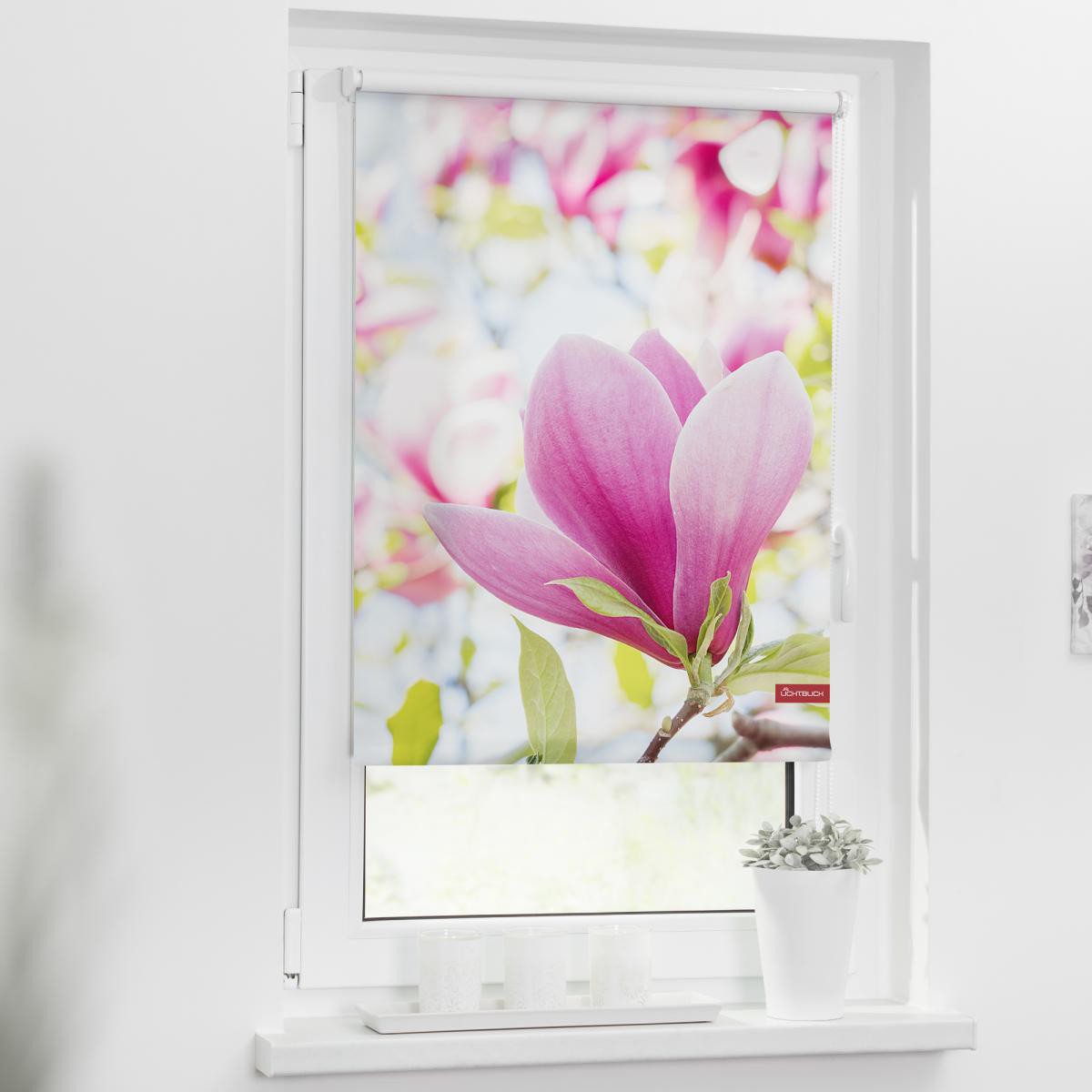 Lichtblick Rollo Klemmfix, ohne Bohren, blickdicht, Magnolie - Rosa, 80 x 150 cm (B x L)