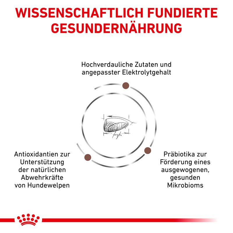 ROYAL CANIN Schonkost ROYAL CANIN Veterinary Gastro Intestinal Puppy 2x10 kg