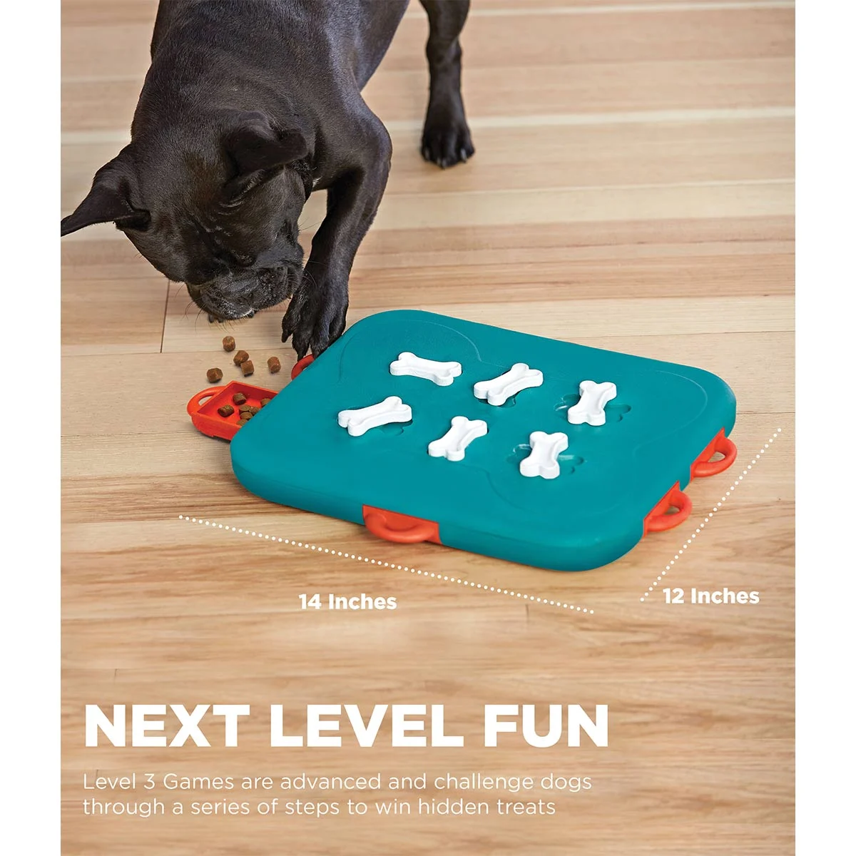 Dog Casino Intelligenzspielzeug günstig kaufen bei ZooRoyal