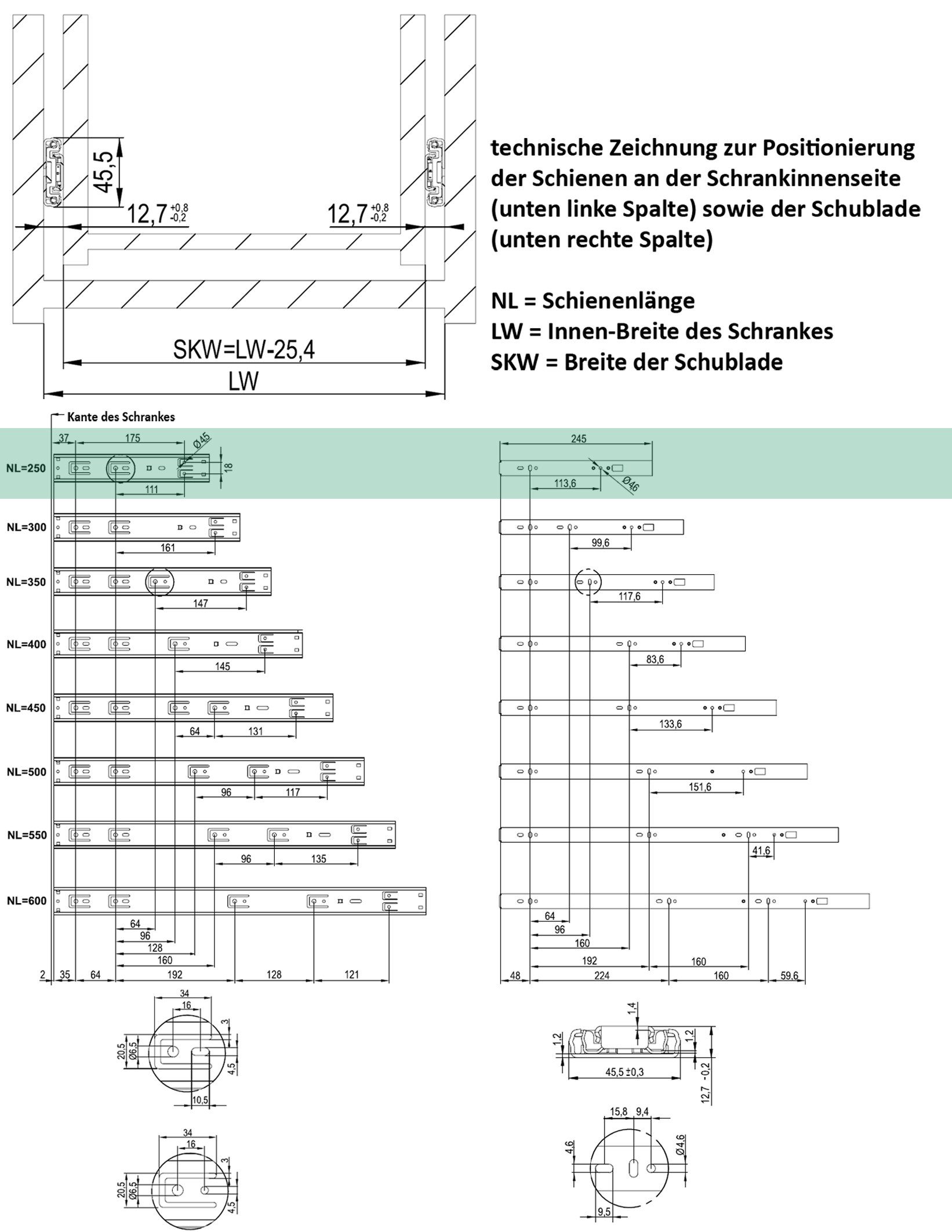 BigDean Auszug 1 Paar /2 Stk. Schubladenschienen Vollauszüge 45x250mm mit Softclose (2 St)