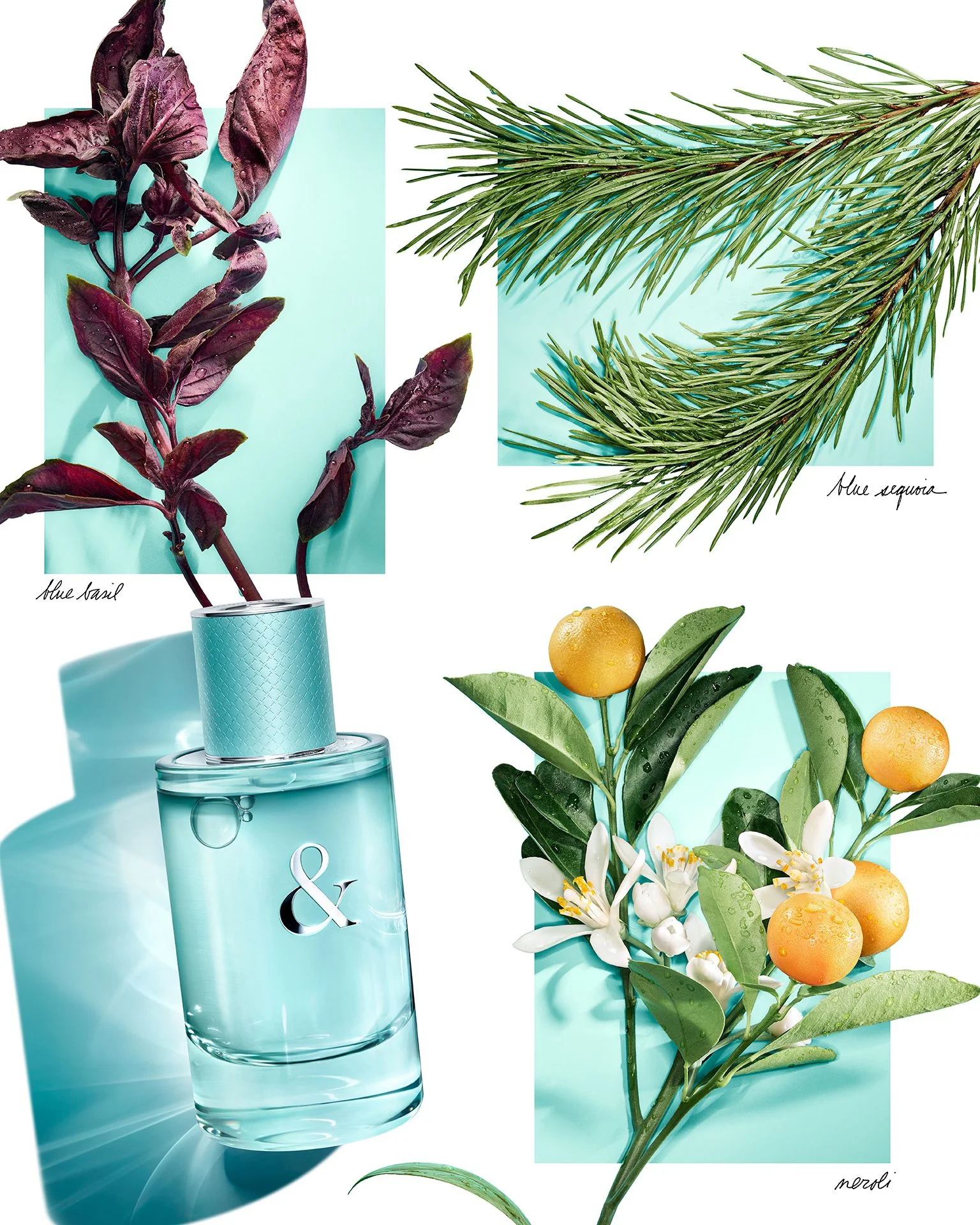 Tiffany & Love For Her - Eau de Parfum
