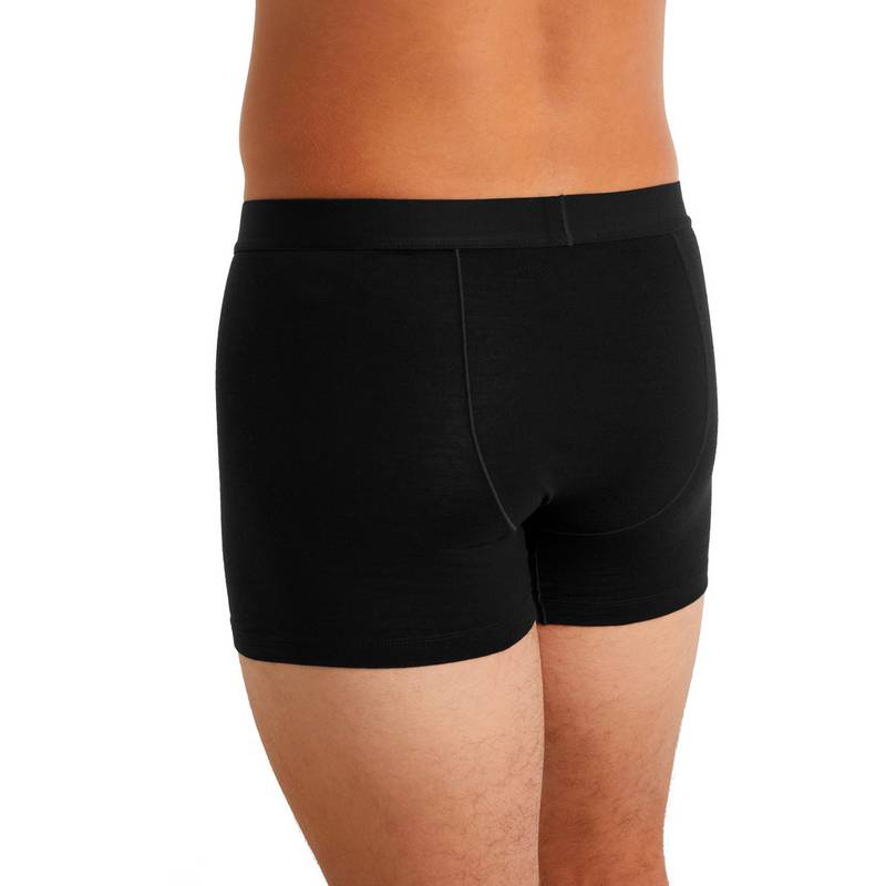 Icebreaker Anatomica Unterhose Herren