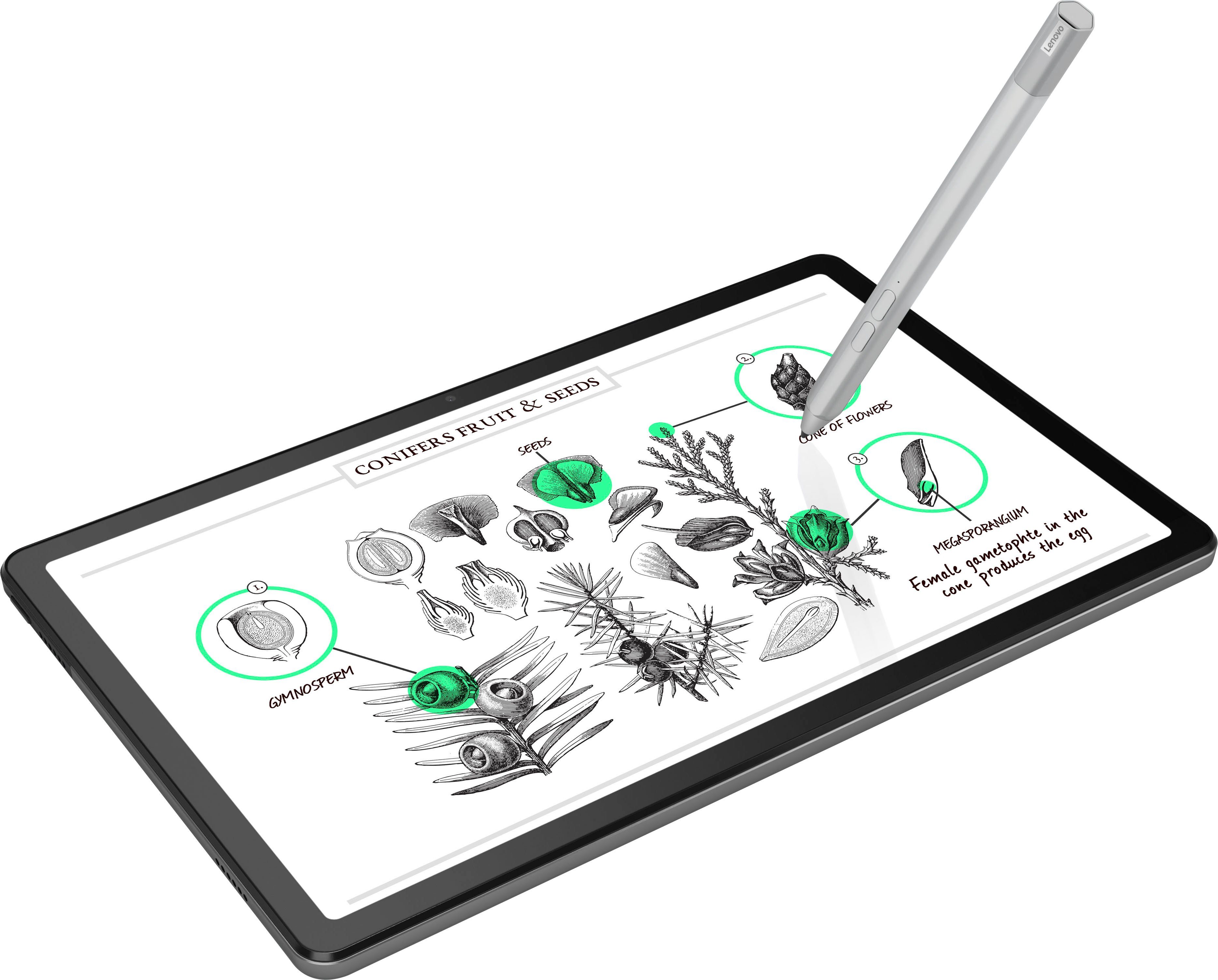 Lenovo Tab M10 Plus (3rd Gen) 2023 Tablet (10,61
