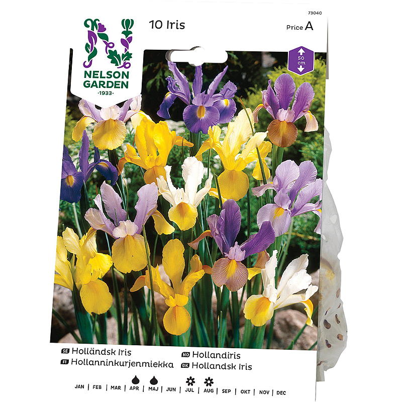 Nelson garden Iris Holland-, blandede farger
