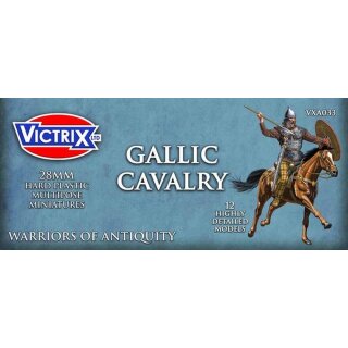 Ancient Gallic Cavalry (12)