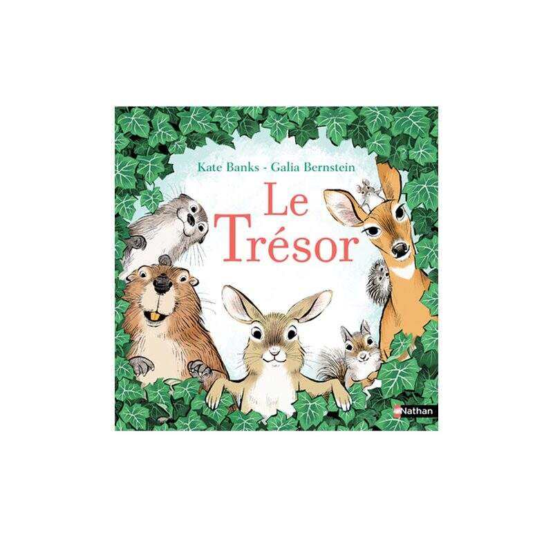 Livre Un précieux trésor - Nathan Jeunesse