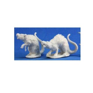 Barrow Rats (2)