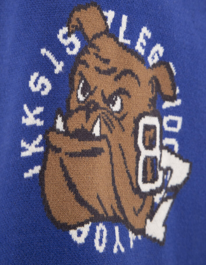 Pull bleu tricot Intarsia bouledogue garçon