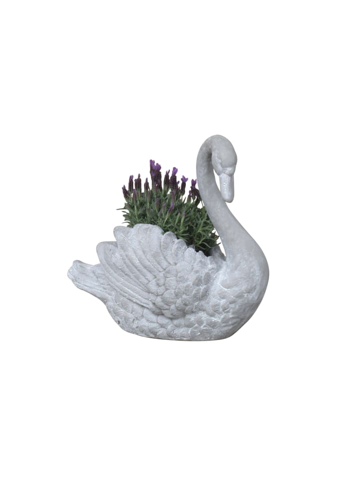 möbel-direkt Pflanzgefäß Schwan in grau günstig kaufen 1 Stück