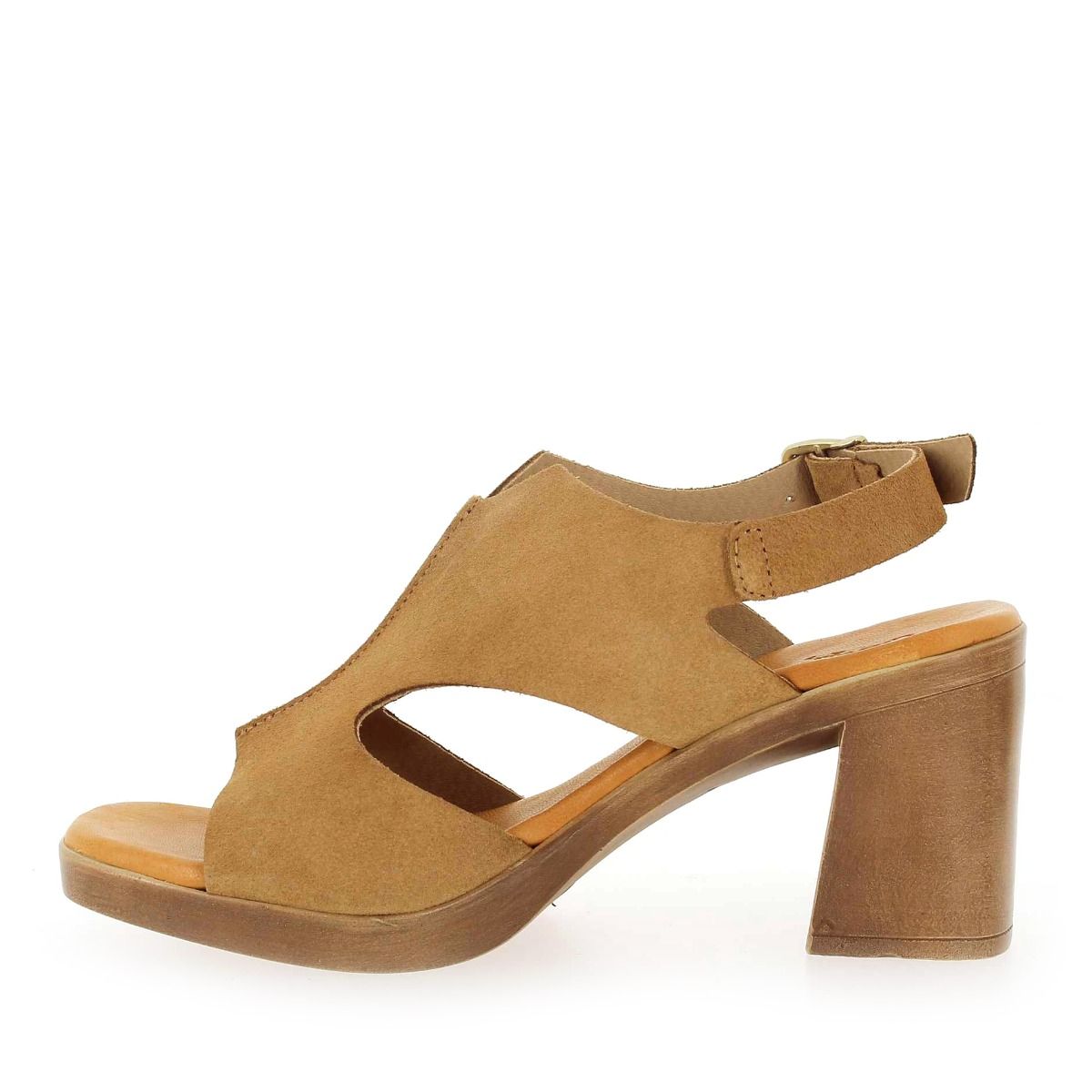 Coco & Abricot  COLOGNAC - Camel