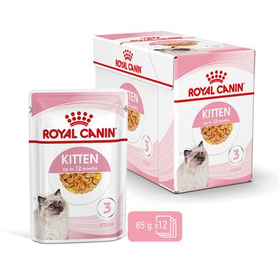 Royal Canin Kitten in Gelee