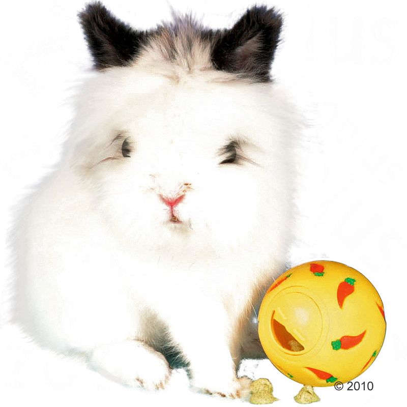 Trixie Snacky Futterball zu TOP-Preisen