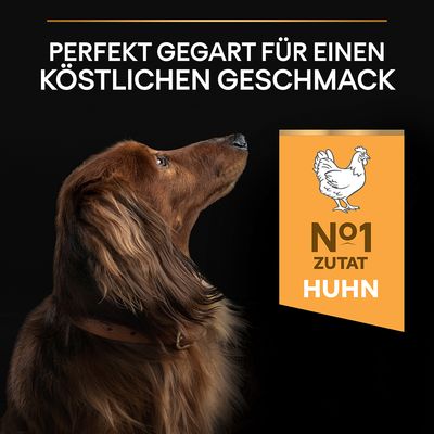 PURINA PRO PLAN Small & Mini Adult Everyday Nutrition