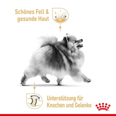 Royal Canin Pomeranian Adult