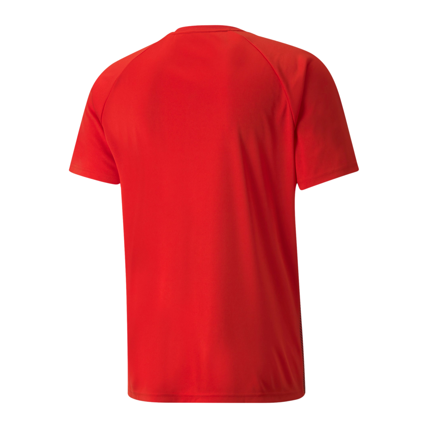 PUMA teamLIGA Striped Trikot Rot Schwarz F01