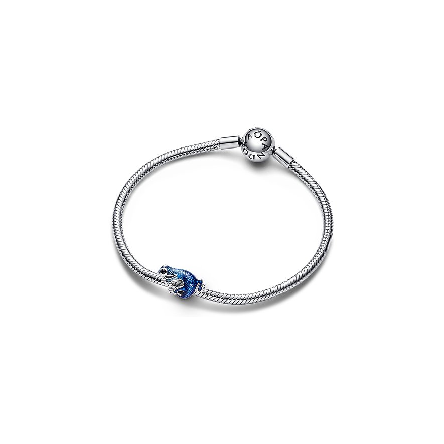 Pandora Charm Moments