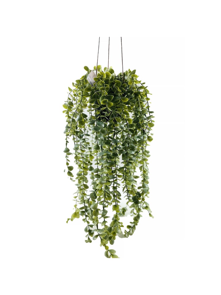 Home&Styling Collection Hängende Kunstpflanze in grün günstig kaufen onesize