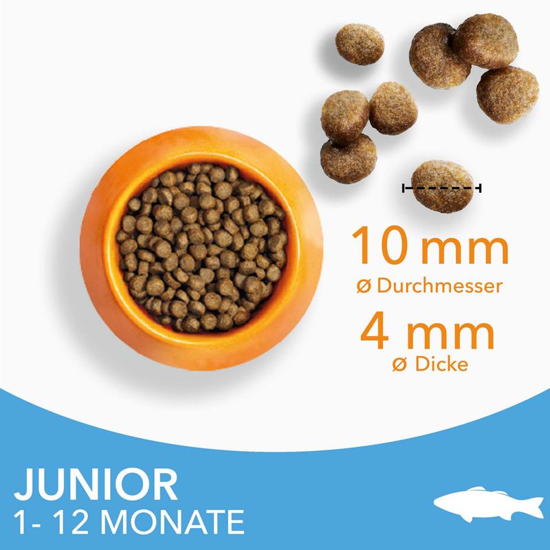 IAMS Advanced Nutrition Kitten mit Meeresfisch