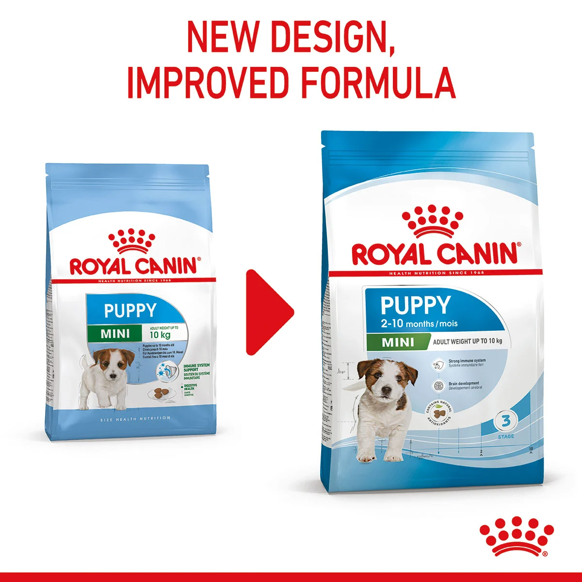 ROYAL CANIN MINI Puppy Trockenfutter für Welpen kleiner Hunderassen