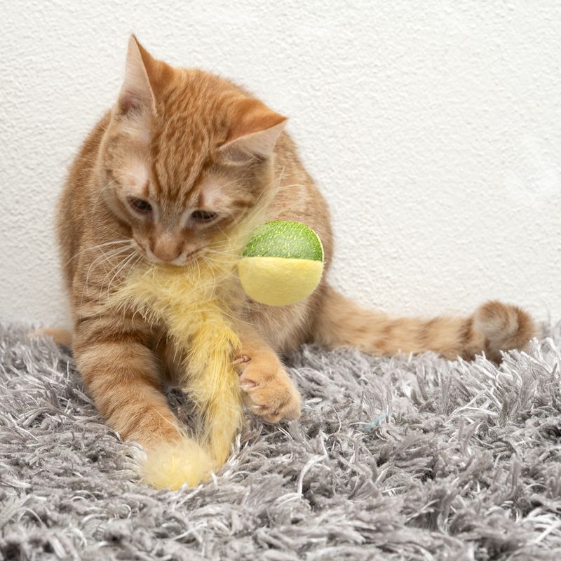 TIAKI Katzenspielzeug-Set Ball & Stern zu TOP-Preisen | bitiba %