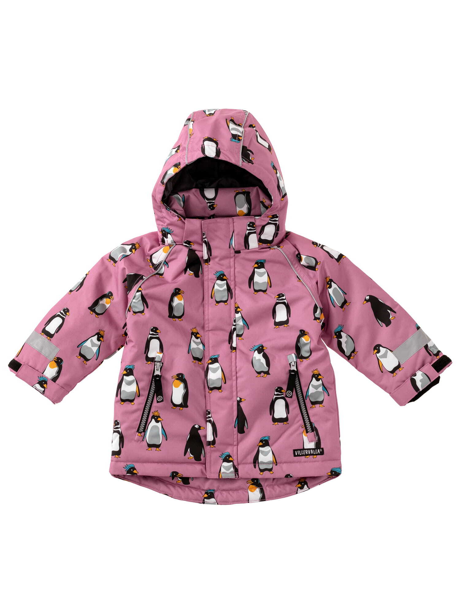 Winter Jacket