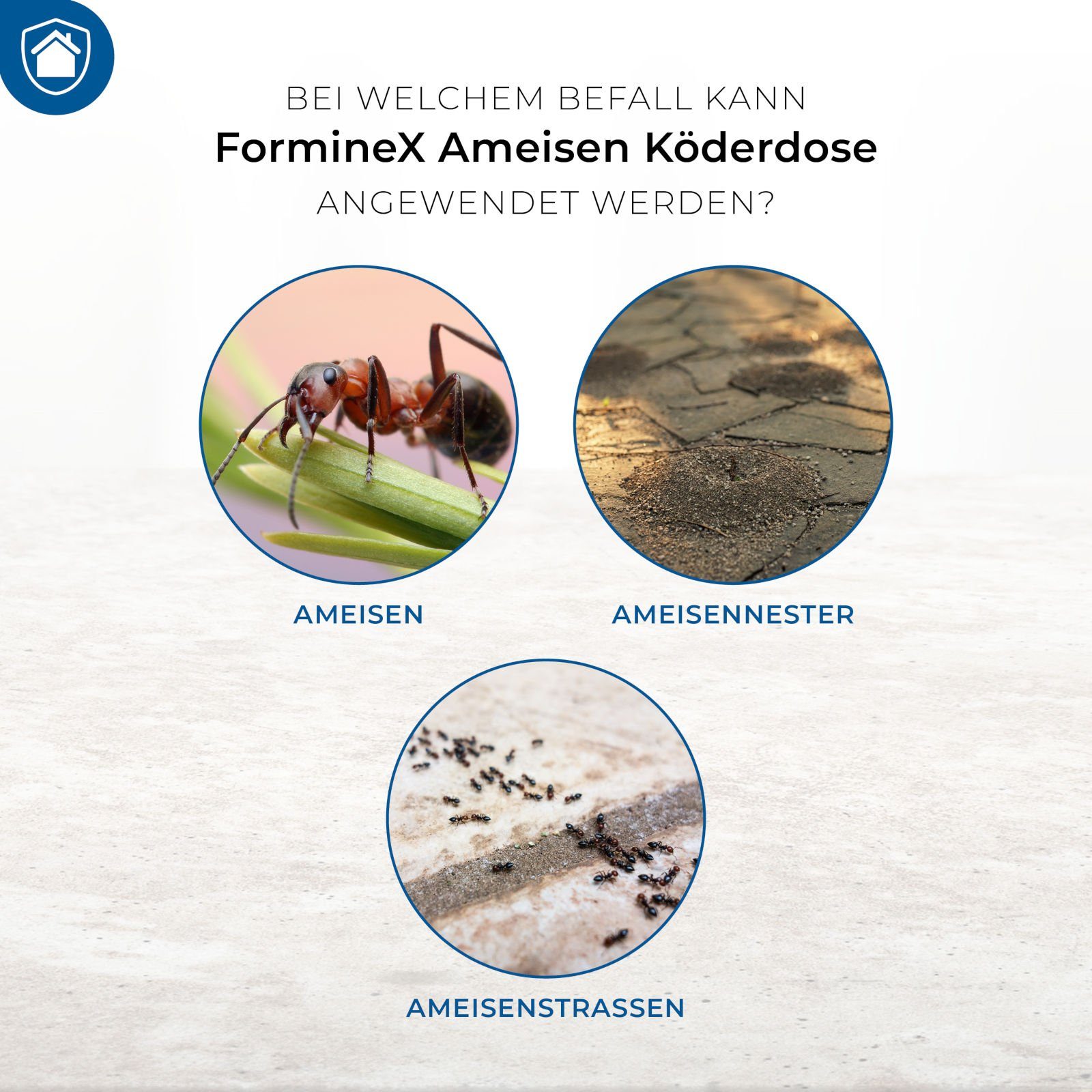 Protect Home Köderdose FormineX Ameisen Köderdose - 2 Stück