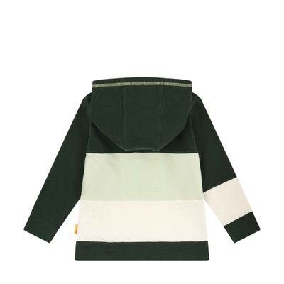 Sweatshirt, dunkelgrün für Jungs